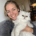 Maja