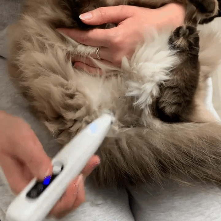 Klippis Mini - för en friskare & lyckligare katt