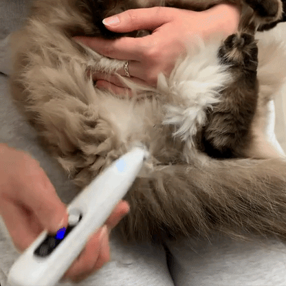 Klippis Mini - för en friskare & lyckligare katt